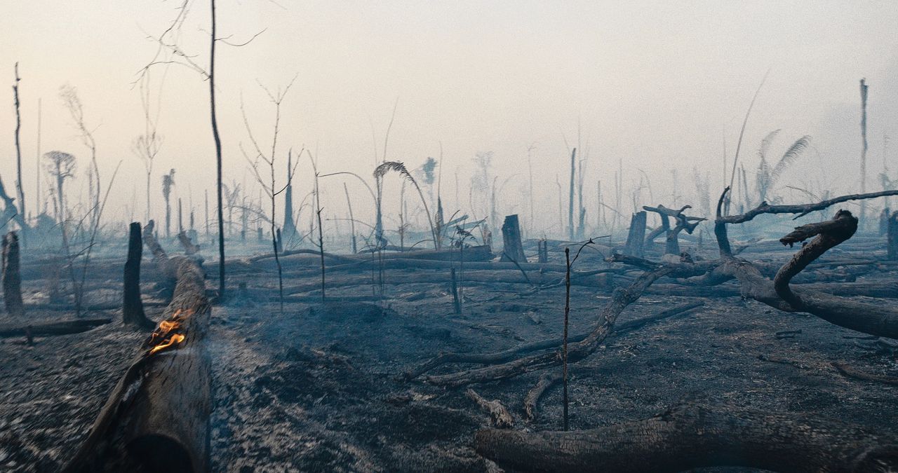 Boeren branden regenwoud af om landbouwgrond te creëren. Beeld uit de documentaire ‘The Territory’.