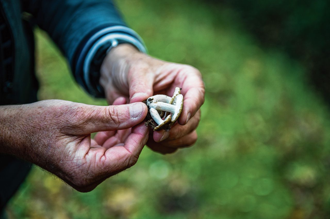 Peter-Jan Keizer met een scherpe kamrussula.