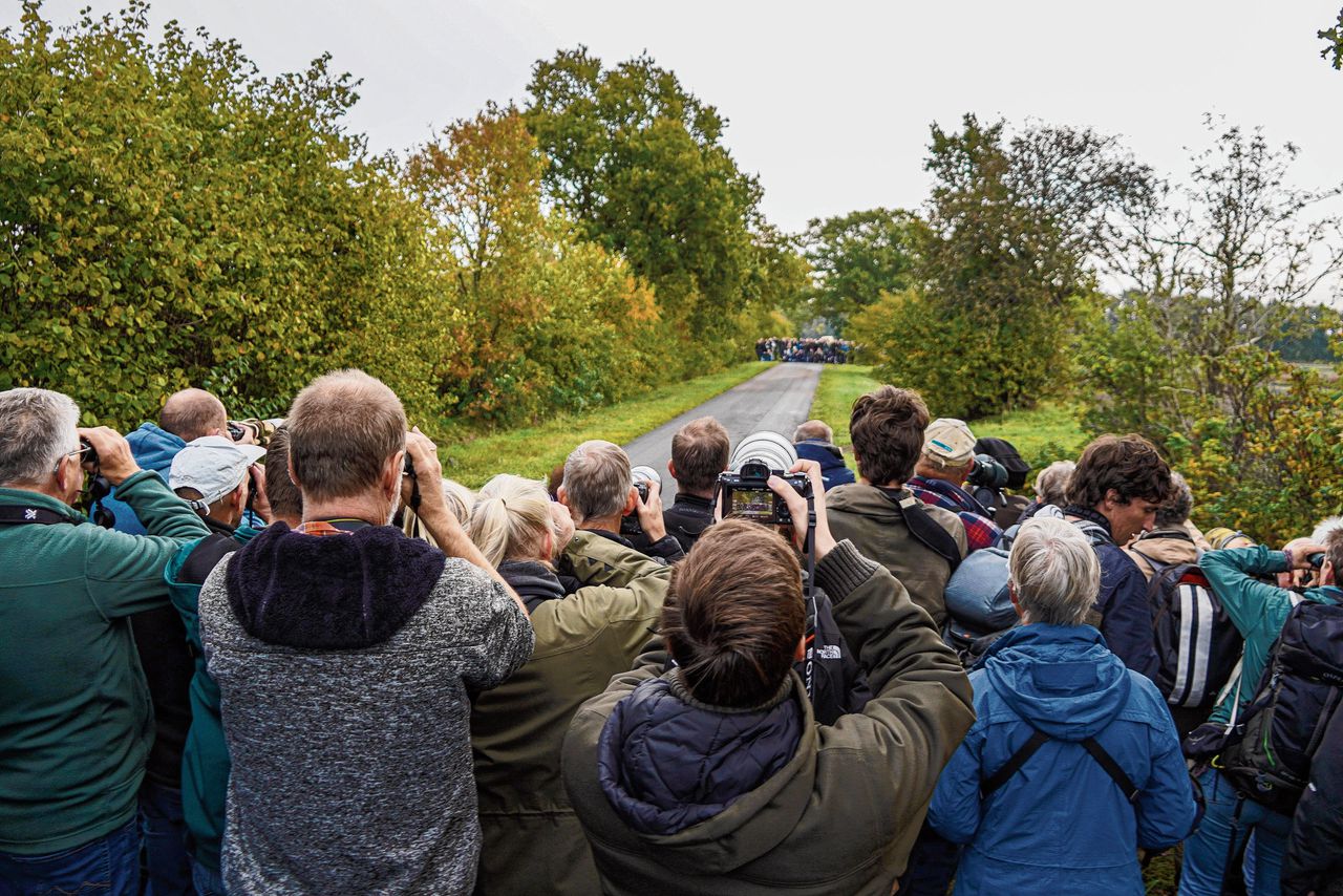 De vogelaars in Drenthe.