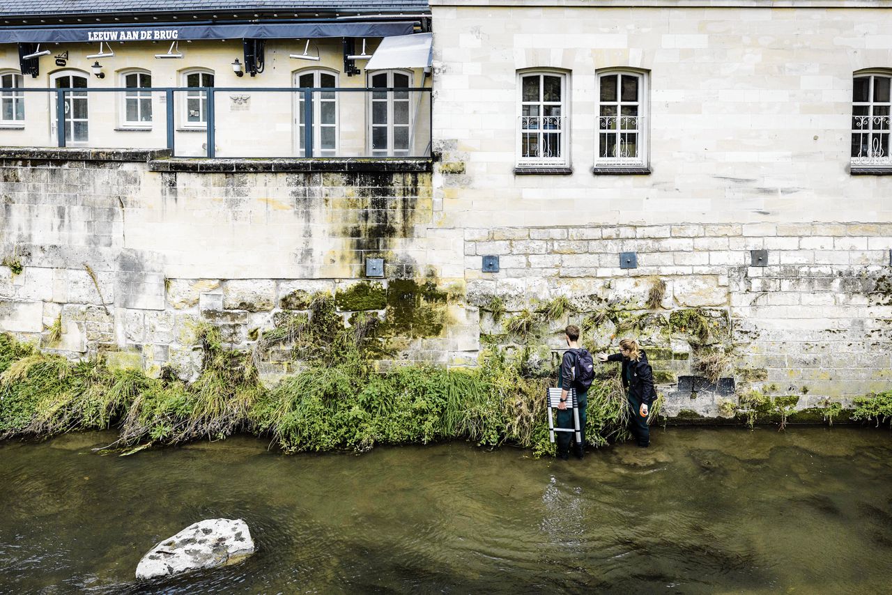 Het Waterschap Limburg is bezig met het herstel van de kademuren in Valkenburg, die zijn beschadigd door de overstromingen van vorig jaar.