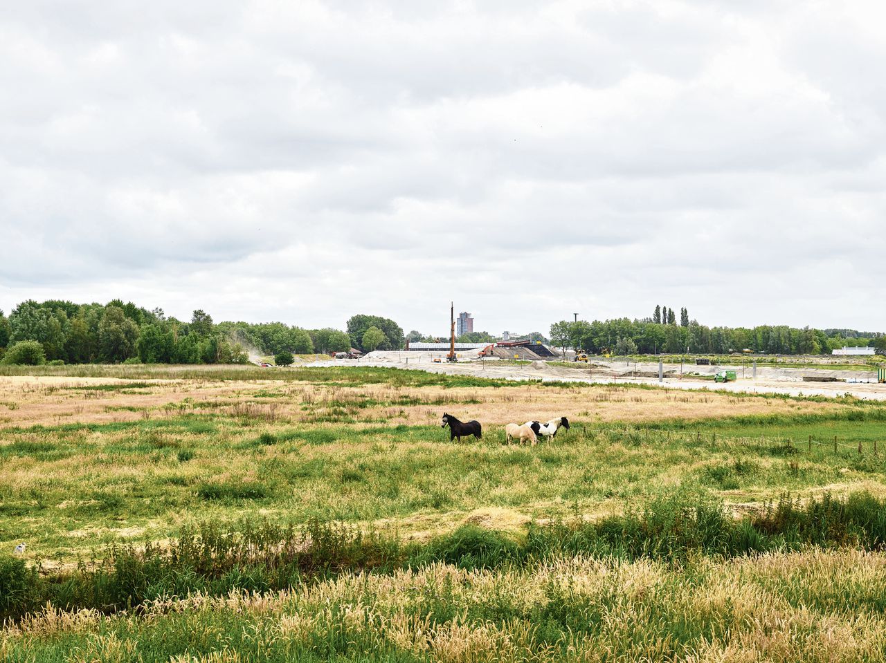 Werkzaamheden aan de verlengde A16 dwars door het Land van Chabot langs de Rotte; rechts hiervan: Park Vijfsluizen, Vlaardingen, bouw van 400 woningen.