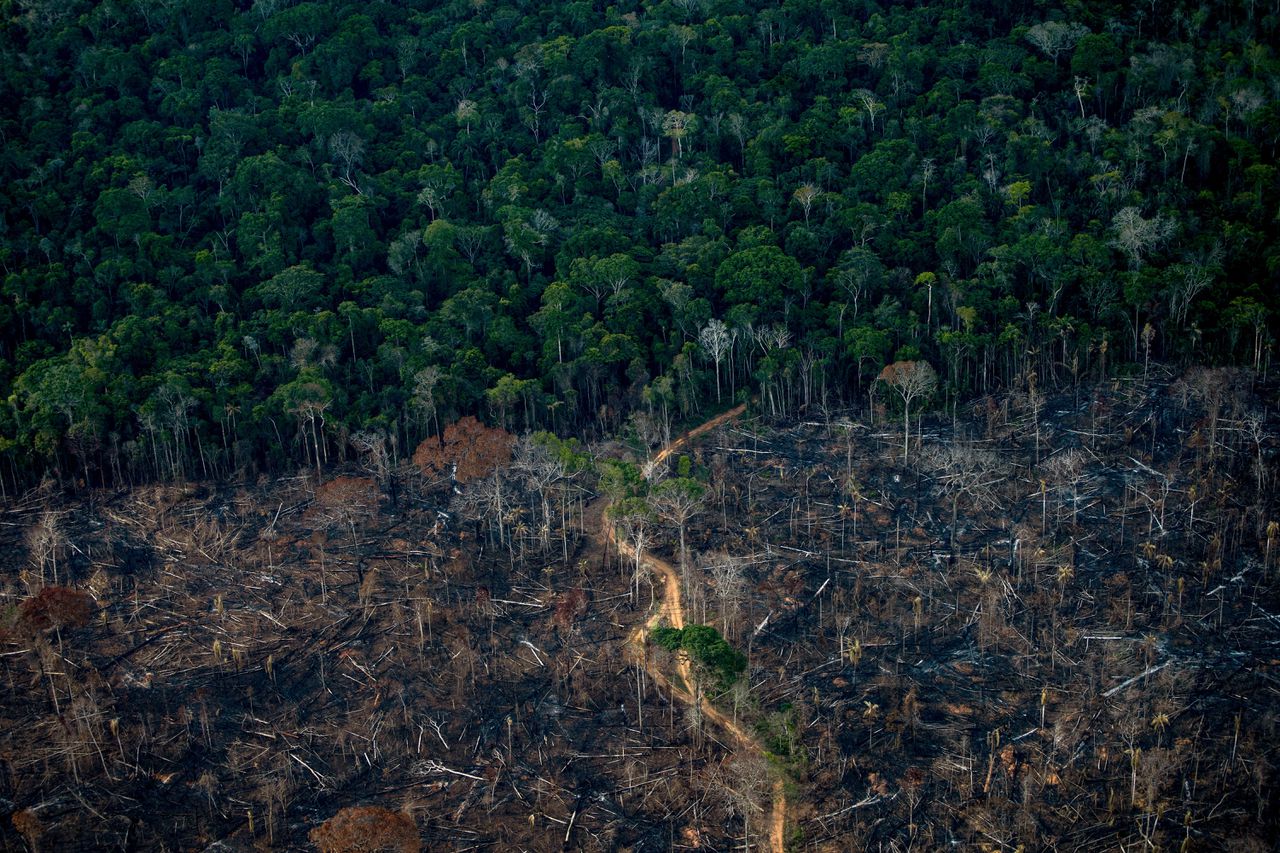 Luchtfoto van gekapt regenwoud in Labrea, in het Braziliaanse Amazongebied, in september 2021.