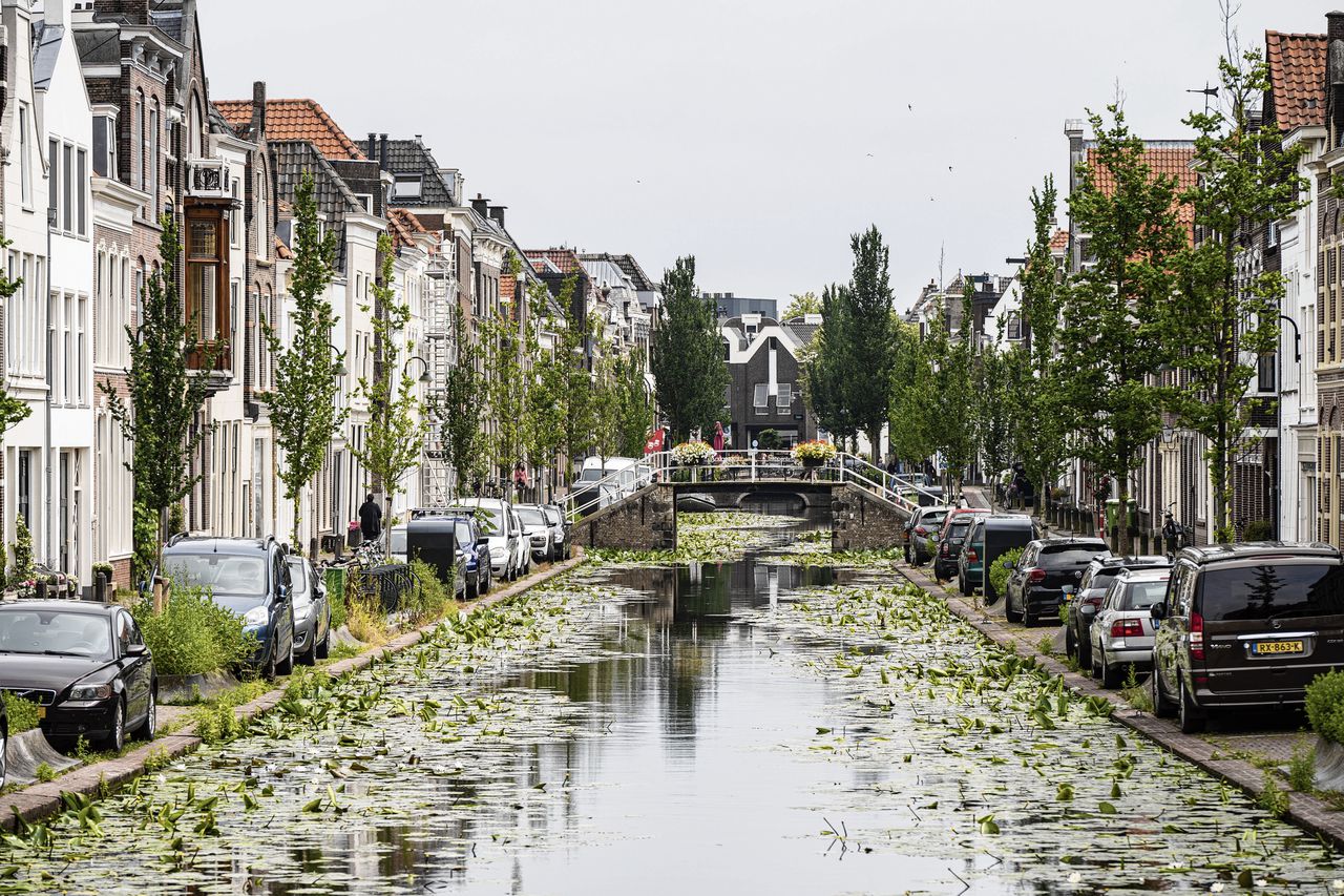 Het waterpeil is hoog in de binnenstad van Gouda. De stad heeft te maken met ernstige bodemdaling, mede daarom staat het water vaak erg hoog en verzakken muren en panden.