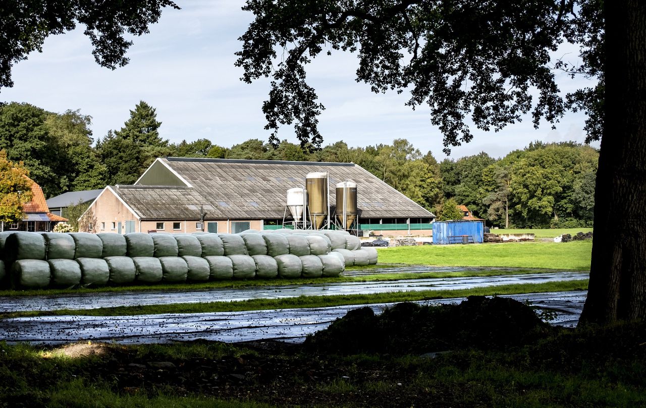 Rond de Veluwe, een van de grootste beschermde natuurgebieden van Nederland, liggen zo’n 2.700 agrarische bedrijven.