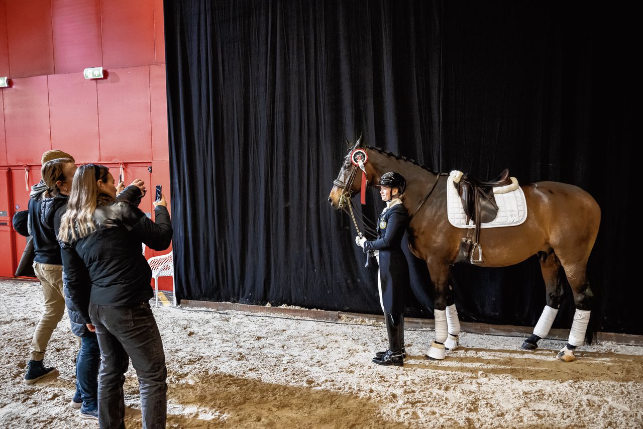 Paarden, kuddedieren, hebben tijdens wedstrijden weinig contact met soortgenoten.