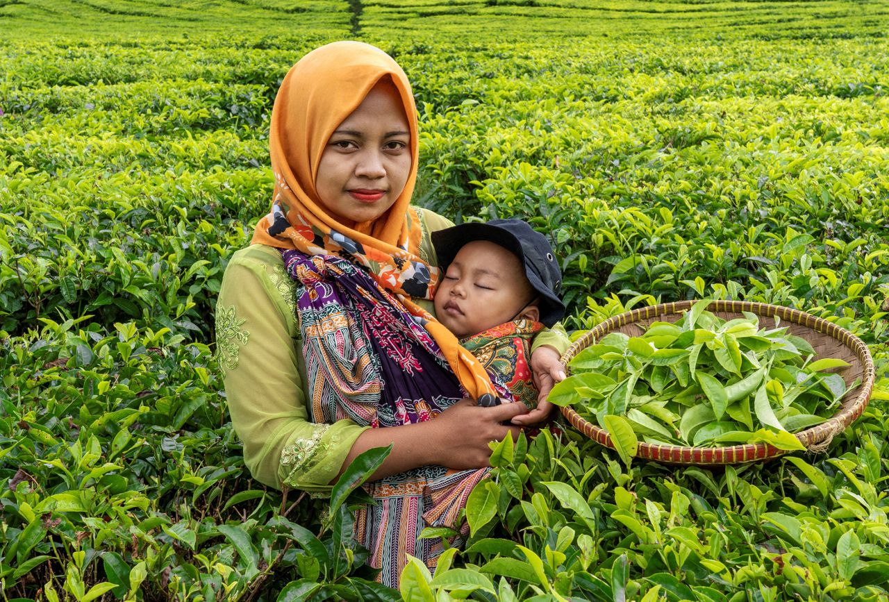 Een theeplukster met haar kind in West-Java.