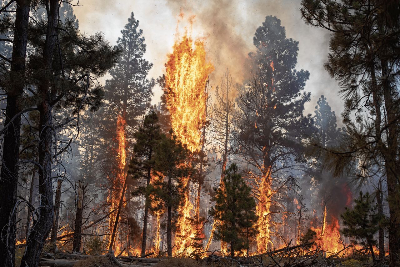 Brand in Oregon, in september 2020. In die maand verbrandde bijna 4.900 vierkante kilometer land.