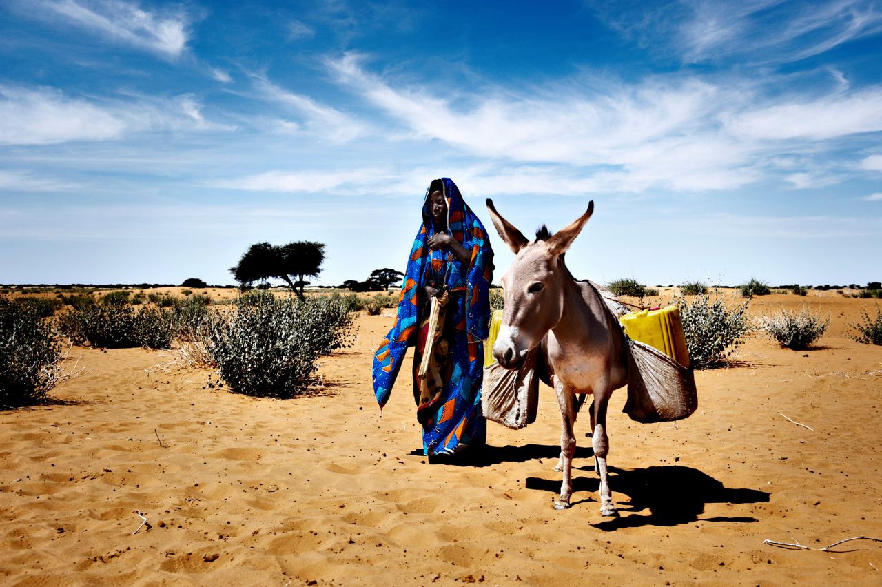 Een vrouw in Niger is op weg naar een bron om water te halen. Vrouwen worden vaak harder geraakt door de gevolgen van klimaatverandering dan mannen.