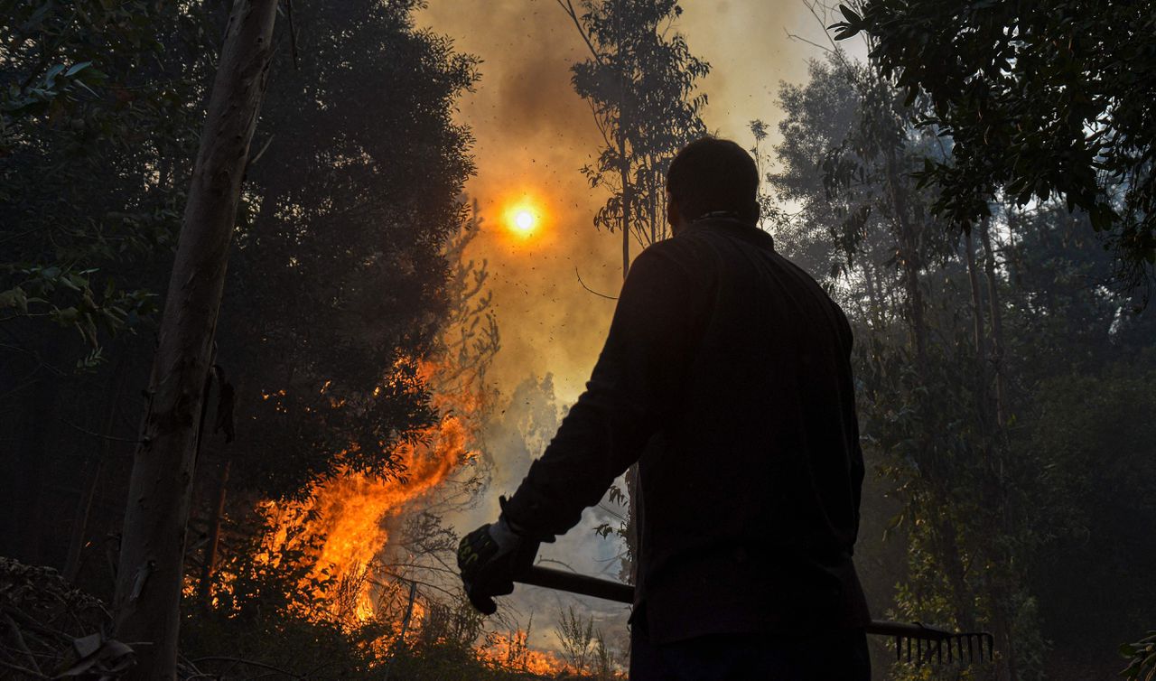 Bosbranden afgelopen dinsdag in El Patagual, in het centraal-zuidelijke deel van Chili, vermoedelijk een gevolg van klimaatverandering. De druk op de Werelbank neemt toe om meer leningen te verstrekken voor klimaatbeleid van ontwikkelingslanden.