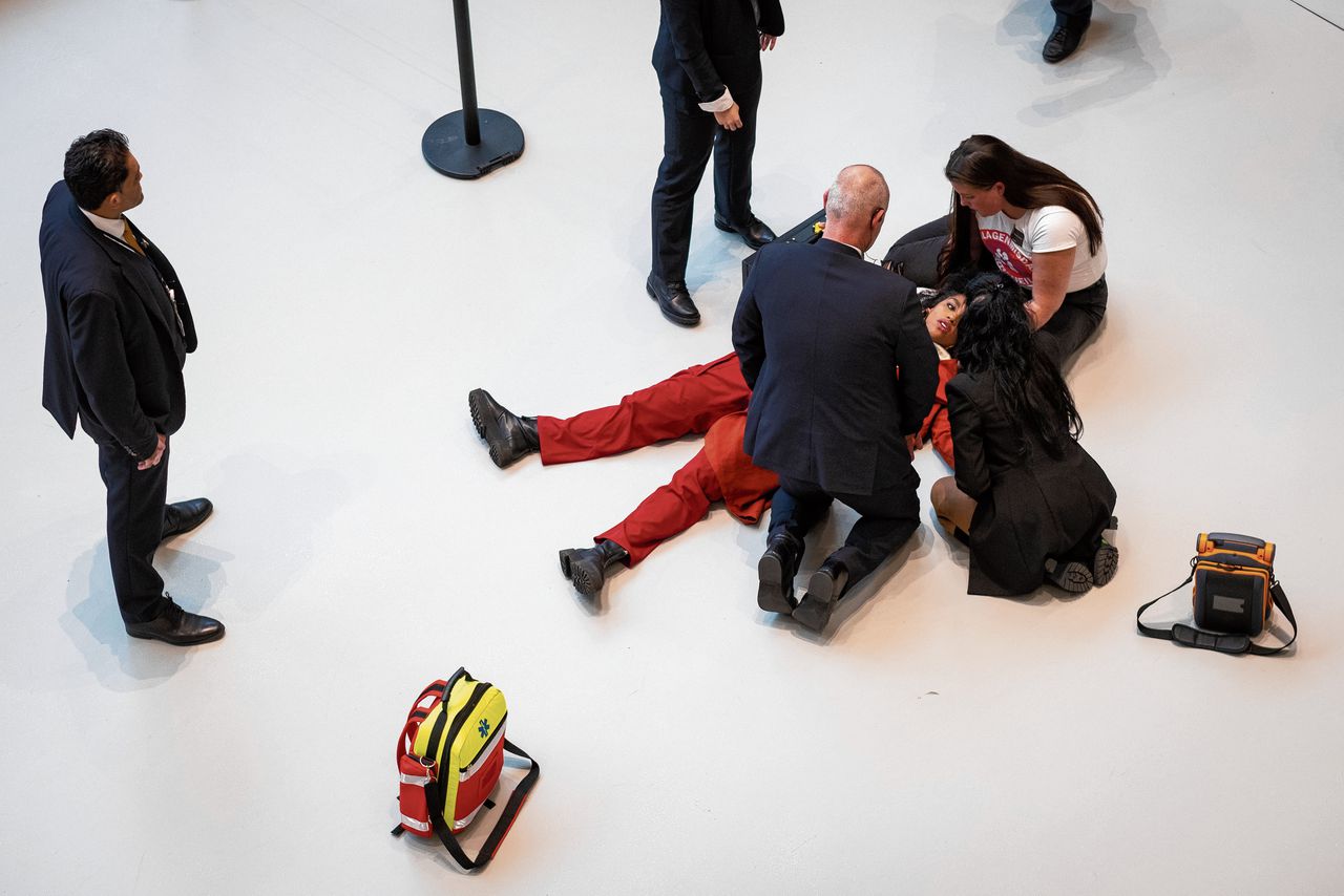 Batya Brown, een van de slachtoffers van de Toeslagenaffaire, viel dinsdag 24 januari flauw na het aanbieden van een petitie in de Tweede Kamer. Brown had geen bezwaar tegen verspreiding van deze foto.