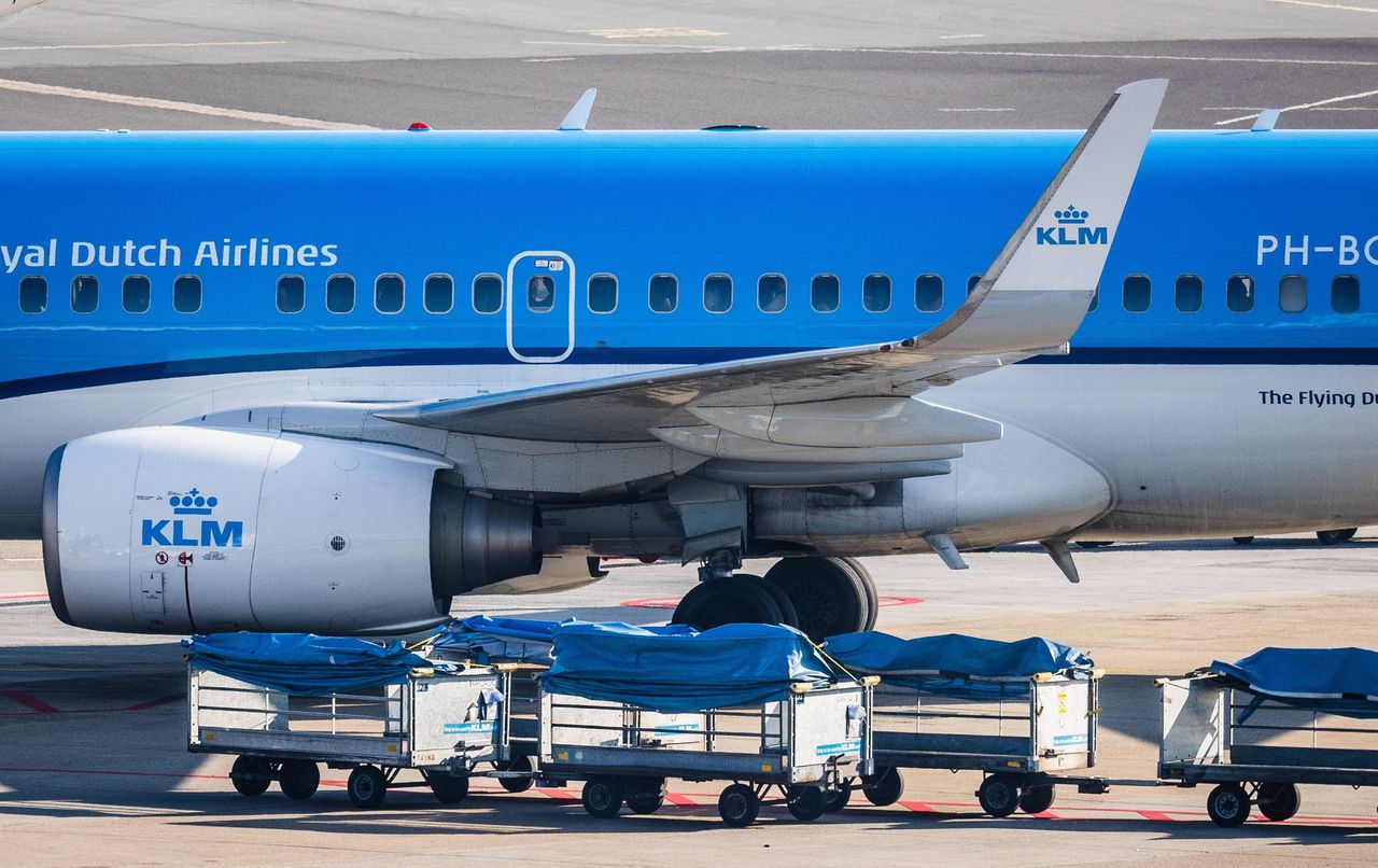 Bagageafhandelaars op Schiphol tillen op een werkdag zeker tweemaal zoveel gewicht als toegestaan, aldus de Arbeidsinspectie.