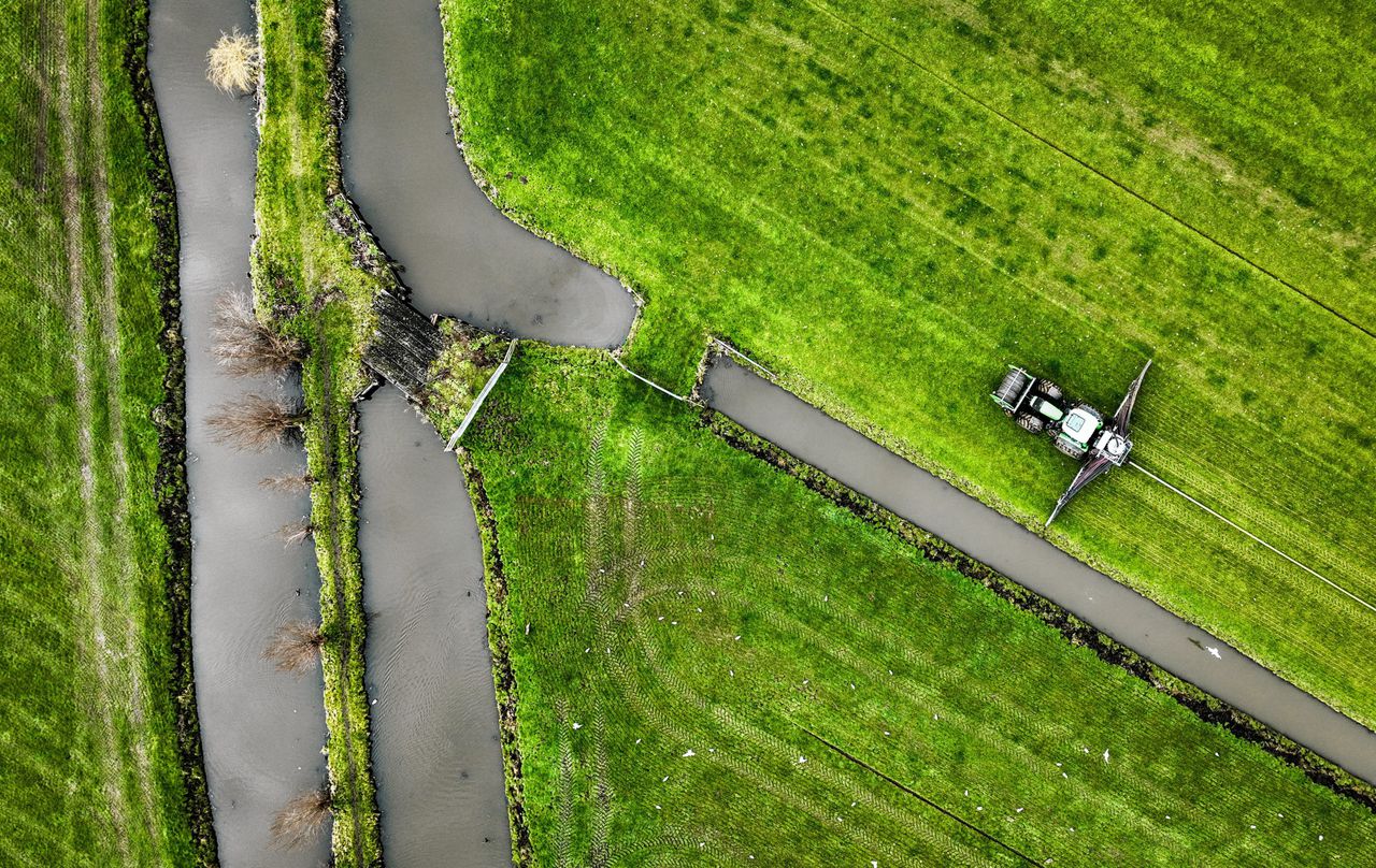 Een boer bemest een weiland in Oud Alblas, Zuid-Holland.