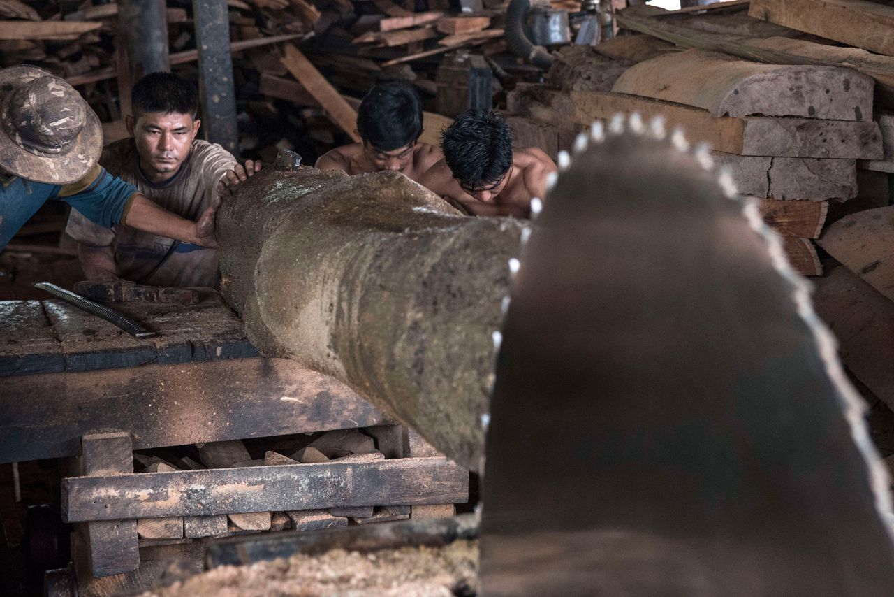 Een zagerij in Myanmar. Myanmarees teakhout is erg gewild bij jachtenbouwers.