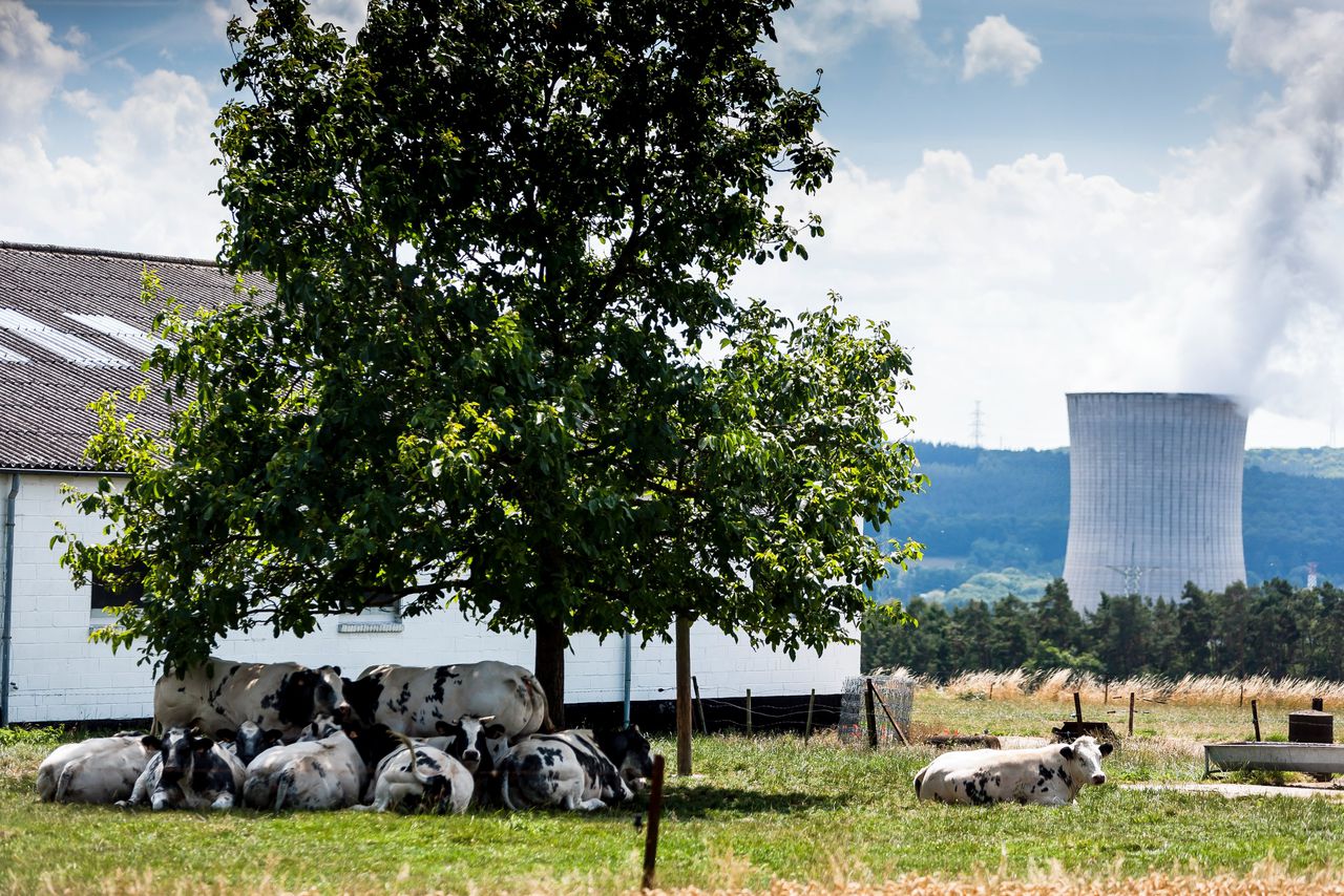 Koeltoren van de kerncentrale Tihange in het Belgische Hoei. Onder Franse druk heeft kernenergie een rol gekregen in de EU-doelstellingen voor duurzame energie.