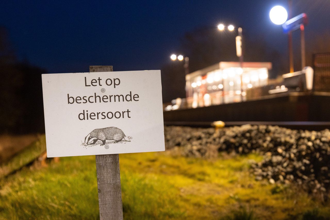 Bij station Molkwerum-Koudum in Friesland wordt gewaarschuwd de aanwezigheid van dassen.