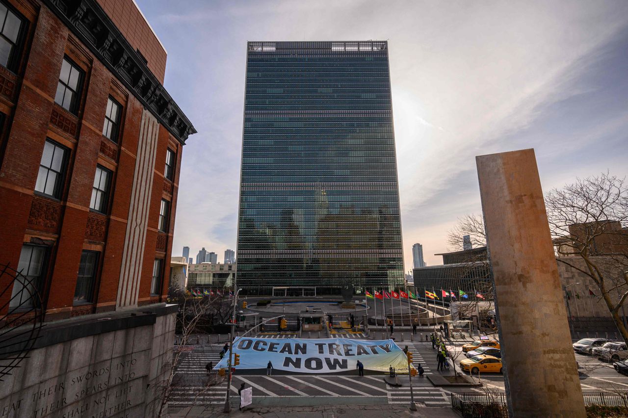 Activisten van Greenpeace roepen met een spandoek bij het hoofdkwartier van de Verenigde Naties in New York op tot een verdrag rond de bescherming van oceanen, op 27 februari.