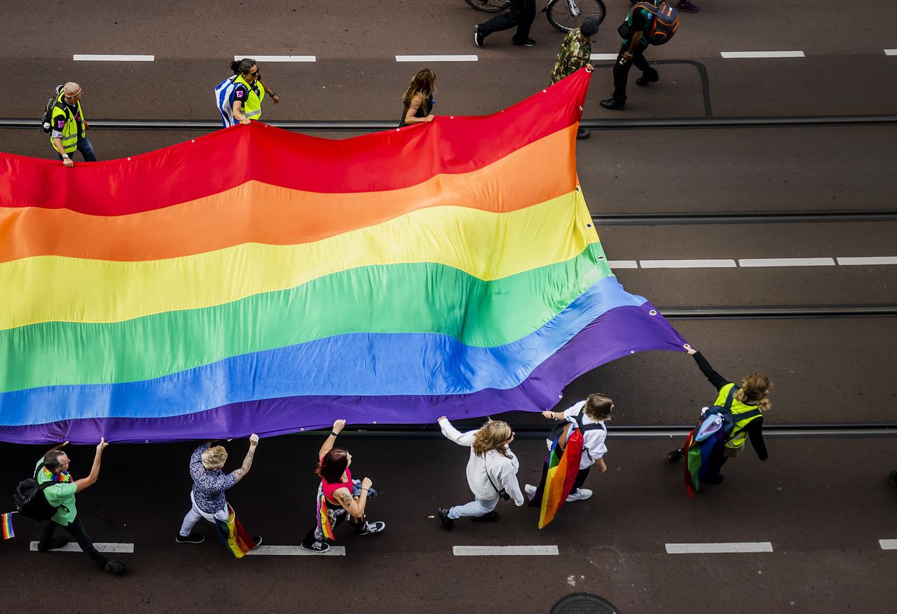 In Nederland is de pathologisering van mensen die als niet-hetero buiten de norm vallen, lange tijd een gangbare praktijk geweest.