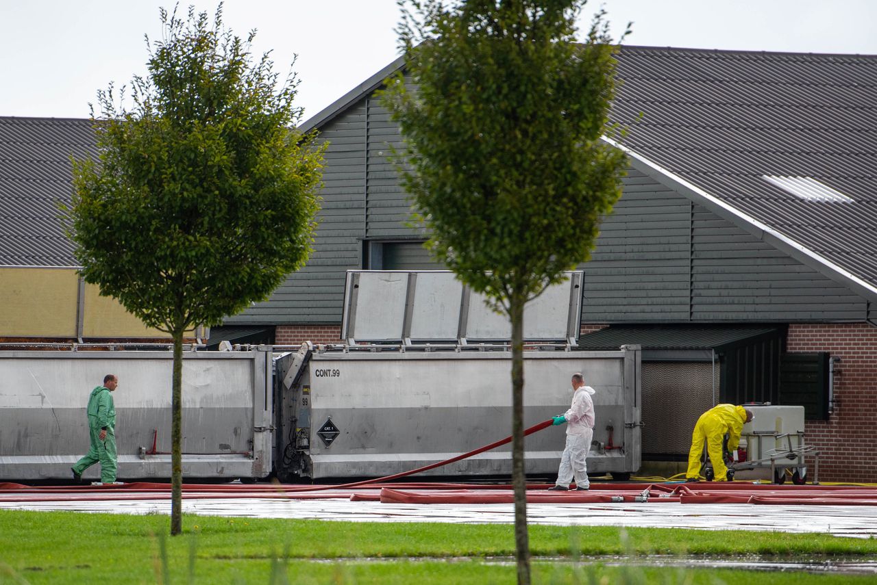 De nieuwe proefvaccins bleken doeltreffend in het bestrijden van ziekte en sterfte na infectie met het vogelgriepvirus.