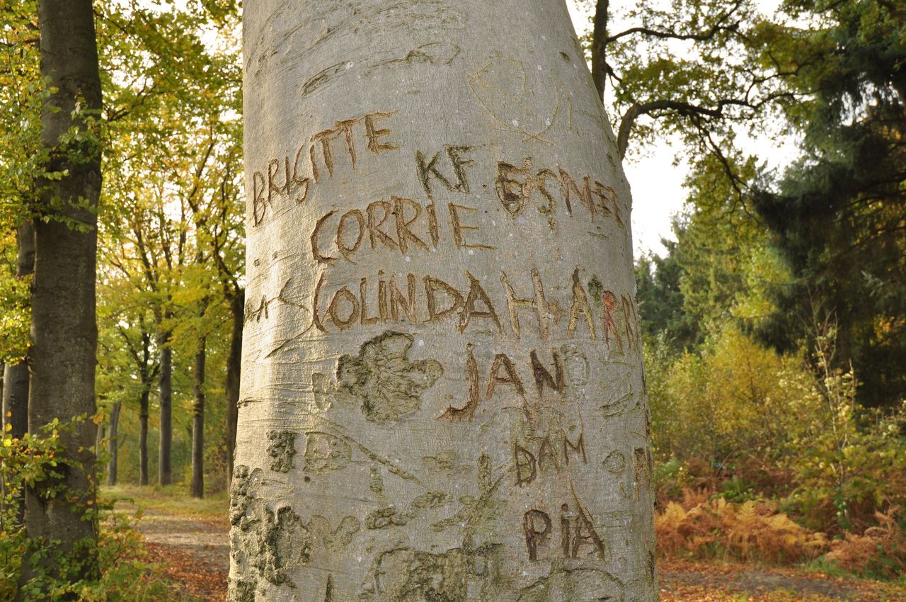 Verliefde stellen laten hun naam achter.