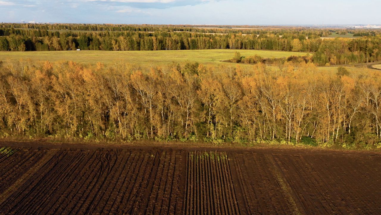 Met windsingels werd in Oekraïne de erosie bestreden.