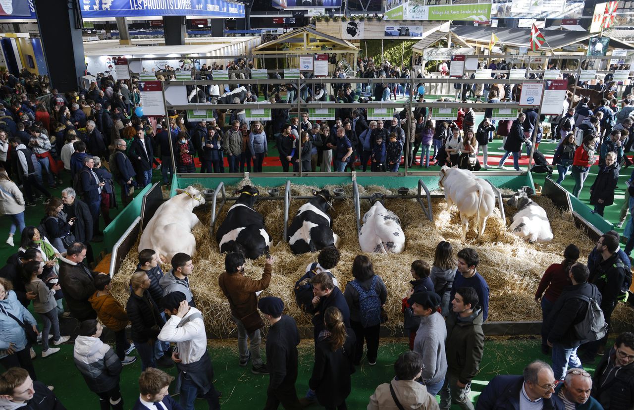 De 59ste editie van de Salon International de l’Agriculture in Parijs trekt zo’n 700.000 bezoekers.