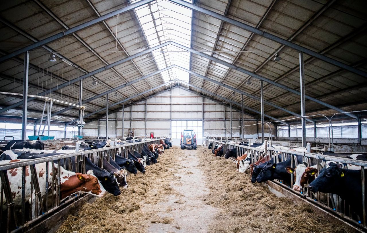 Belangenorganisaties zijn er zeer kritisch over dat het kabinet stikstofbesluiten voor zich uit schuift.