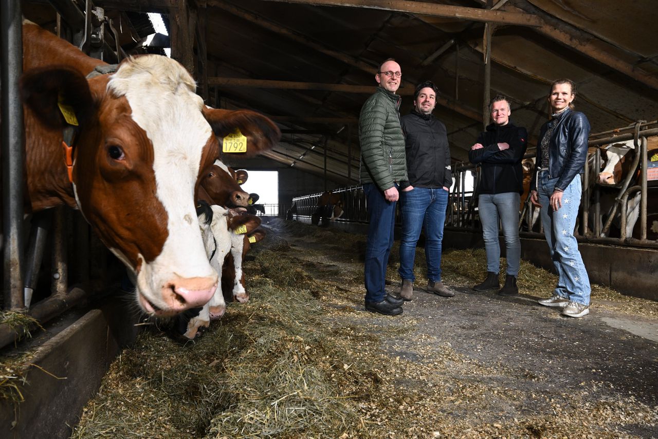 Initiatiefnemers van het plan in Markelo-Noord (vlnr): Harrrie Veldkamp, Joost Pleiter, Arjan Zandvoort, Els Uijterlinde.