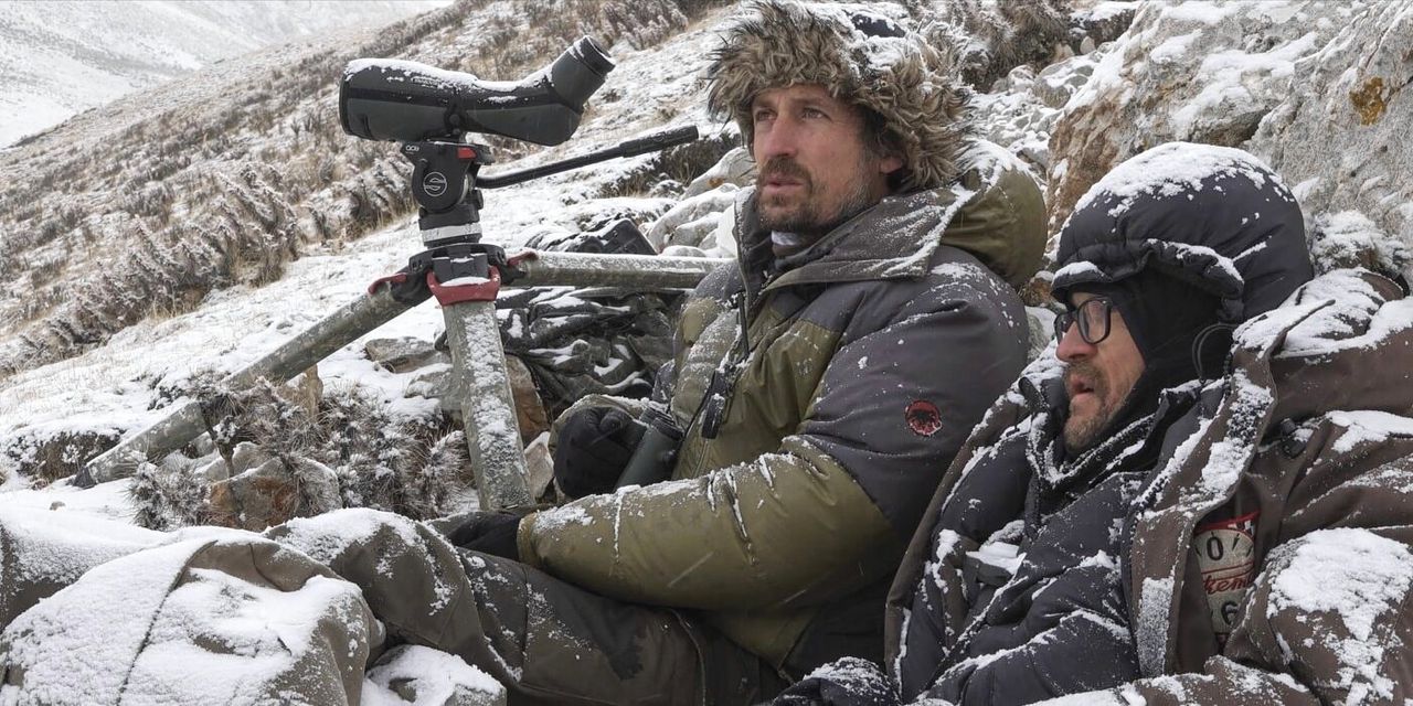 Wildfotograaf Vincent Munier en schrijver Sylvain Tesson op zoek naar een Tibetaans sneeuwluipaard in ‘The Velvet Queen’.