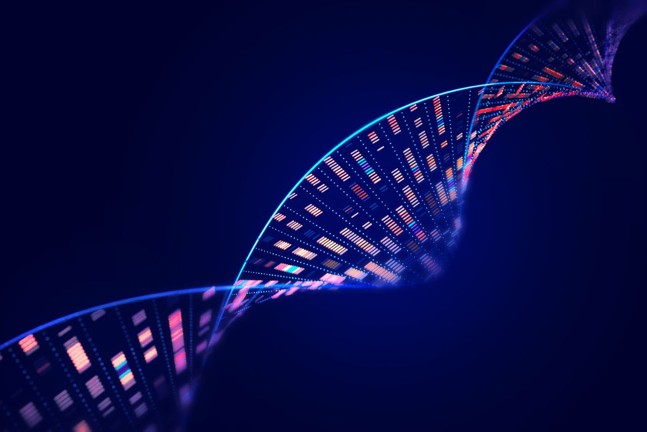 De dna-helix. Hoe strak de helix is, bepaalt hoe chromosomen gevormd zijn.