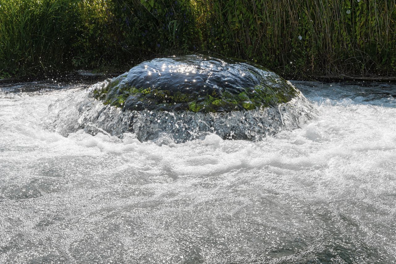 De ‘kwal’: een waterinlaat in de duinen tussen Castricum en Heemskerk.