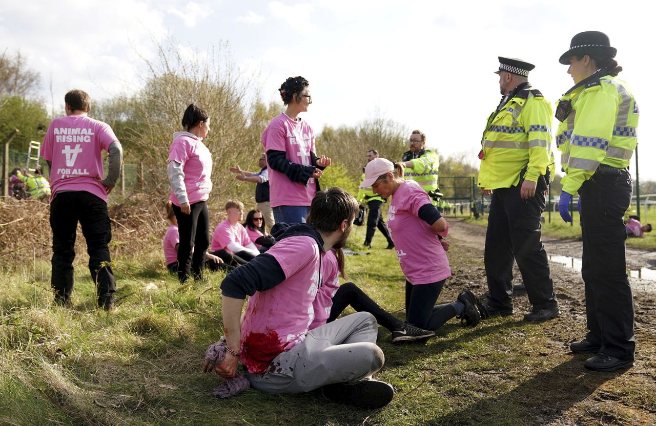 Van de 118 arrestaties houden sommigen ook verband met een protest op een snelweg richting het evenement, waarbij activisten zich aan de rijbaan vastkleefden.