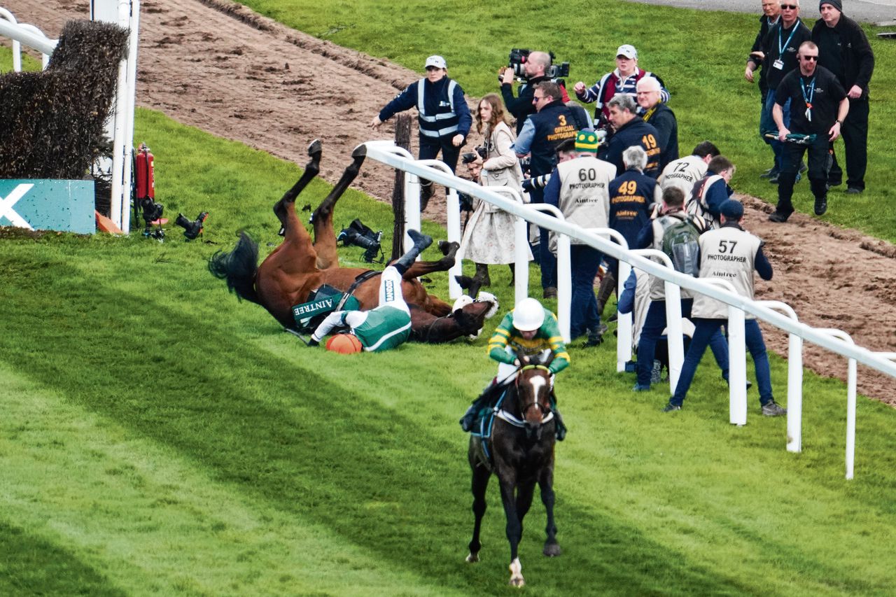 Het paard Calico en zijn jockey Harry Skelton zijn ten val gekomen op de laatste hindernis van de Grand National.