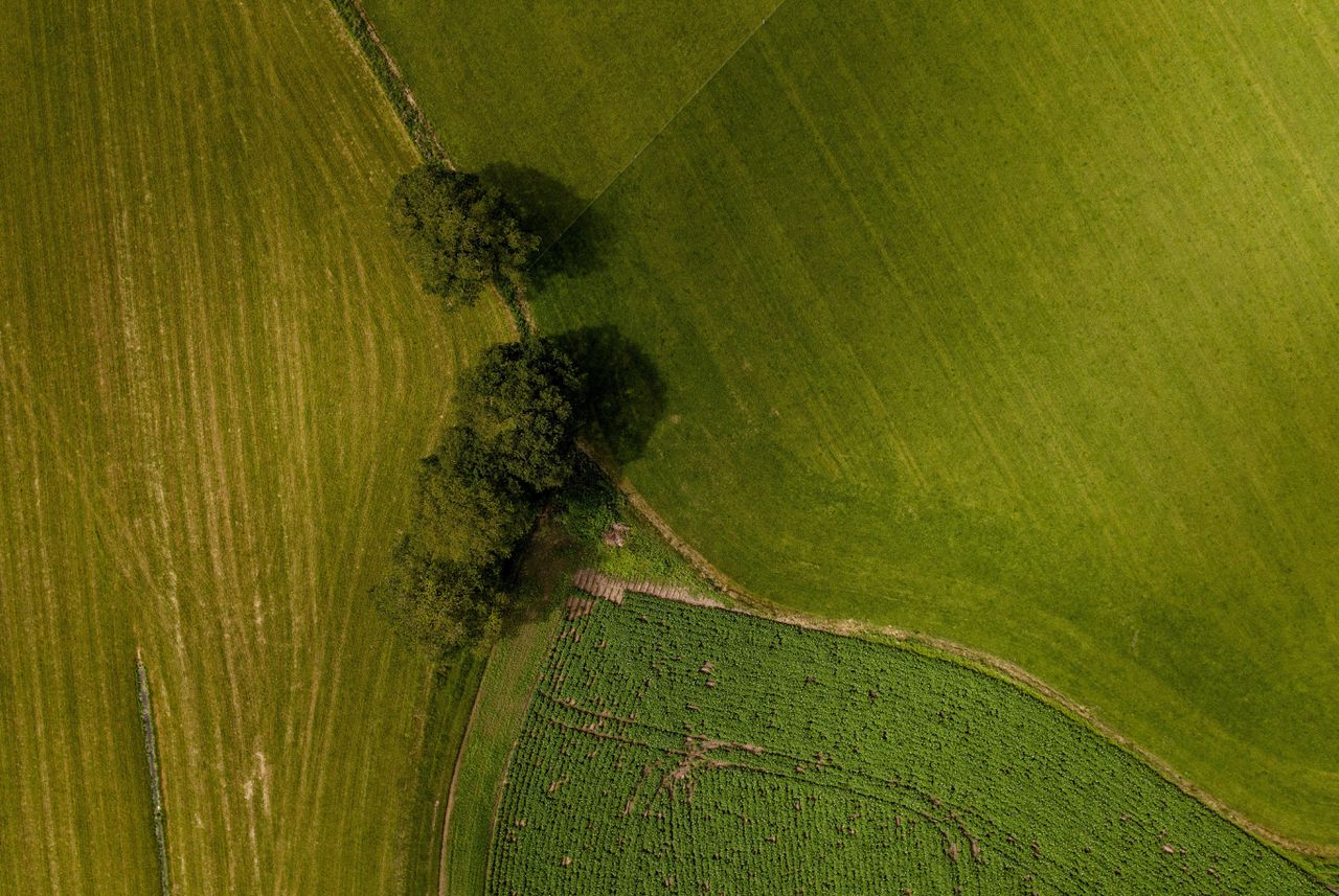 Dronefoto van weilanden in de Gelderse Vallei, een van de gebieden waar de stikstofuitstoot drastisch omlaag moet.