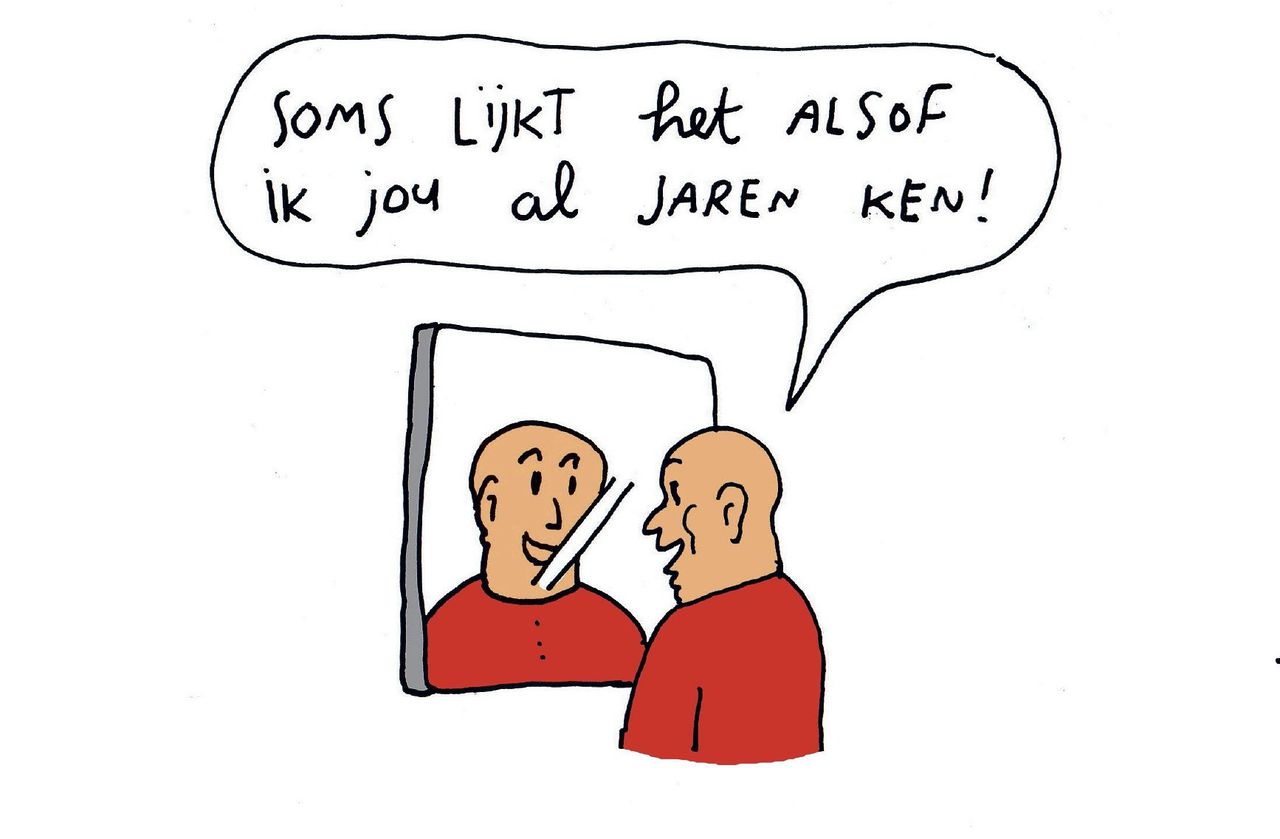 Cartoon uit het besproken boek