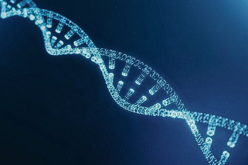 Dna bestaat uit twee om elkaar gedraaide ketens. Elke bouwsteen maakt contact met de tegenoverliggende.