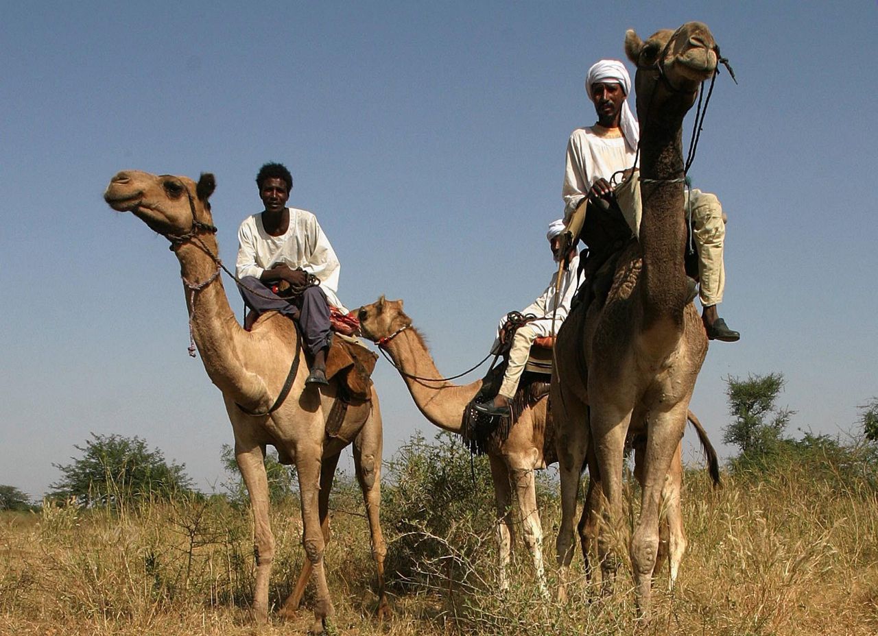 De Rapid Support Forces die nu in Khartoem huishouden, zijn de opvolgers van de Janjaweed die rond de eeuwwisseling vermeende oorlogsmisdaden pleegden in de westelijke regio Darfur.