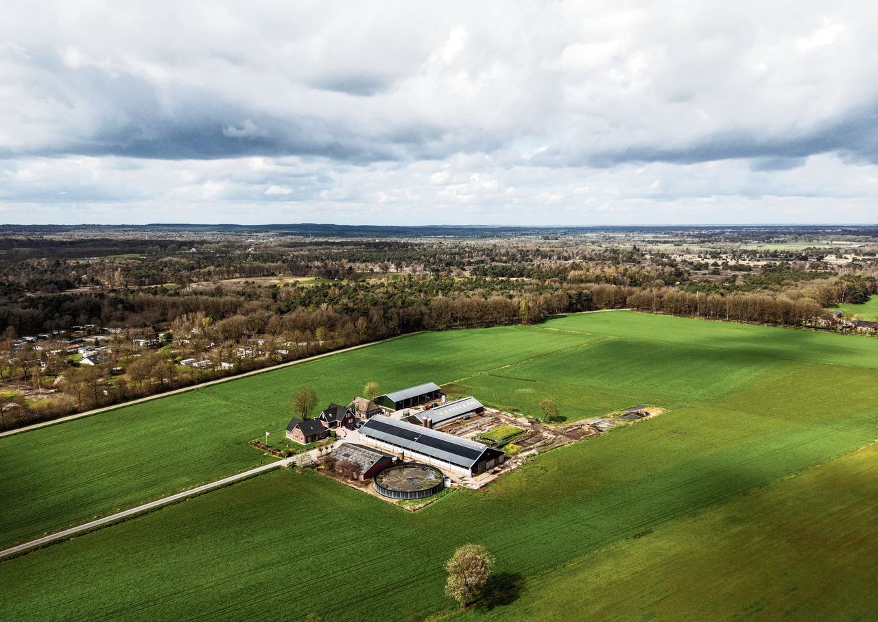 In Markelo boeren veehouders dicht bij het Natura 2000-gebied de Borkeld. Stikstofneerslag veroorzaakt daar verzuring van de bodem, waardoor het heidegebied onder druk staat.