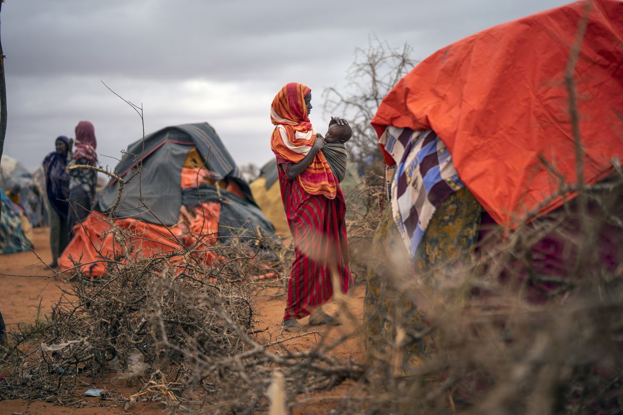 In 2022 kwamen in Somalië zo'n 43.000 mensen als gevolg van de droogte om het leven.