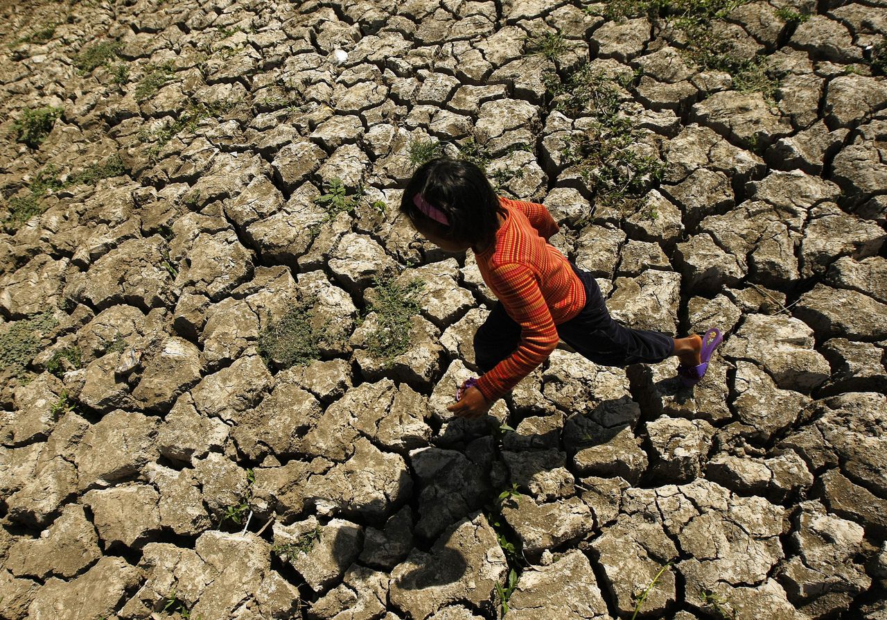 De WMO concludeerde ook dat er een 98 procent kans is dat een van de komende vijf jaren het heetste jaar in de geschiedenis zal worden.