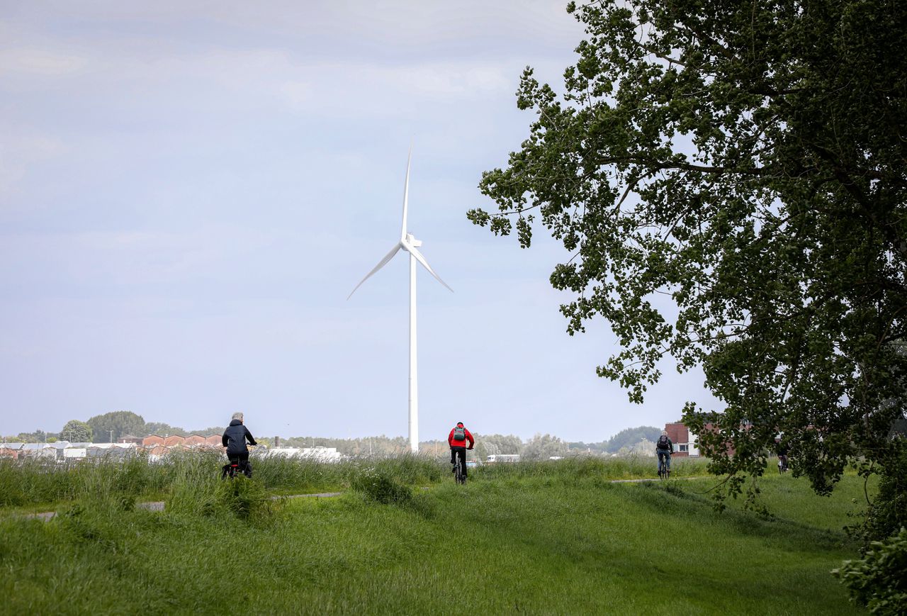 Natuur op loopafstand maakt Arnhem aantrekkelijk.