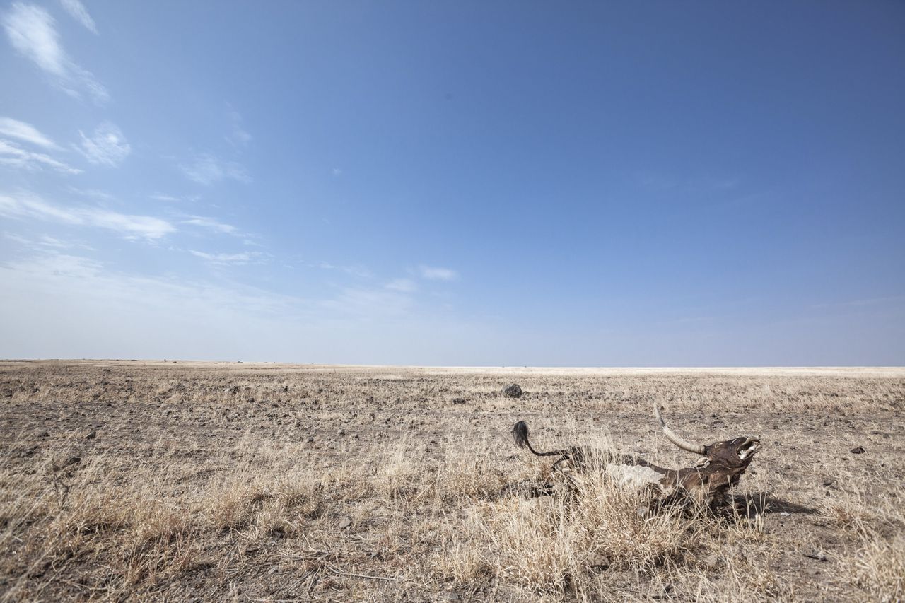 El Niño’s leiden tot extra droogte in grote delen van de wereld, onder meer het Midden-Oosten en Australië.