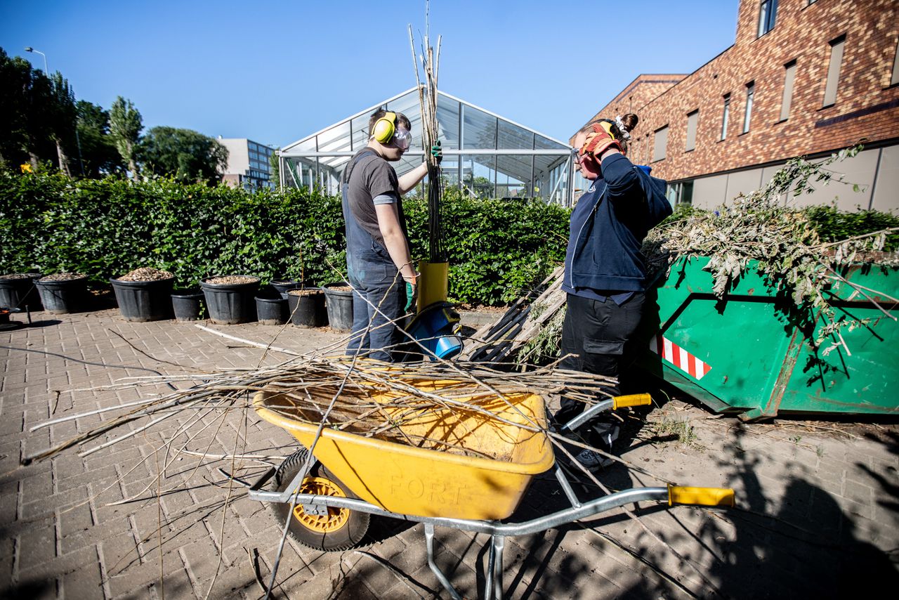 Op het Pro College in Nijmegen krijgen leerlingen praktijkonderwijs, zoals hovenierslessen (ook wel ‘Groen’ genoemd).