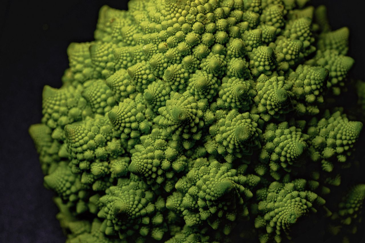 De fibonaccispiralen van romanescobroccoli.