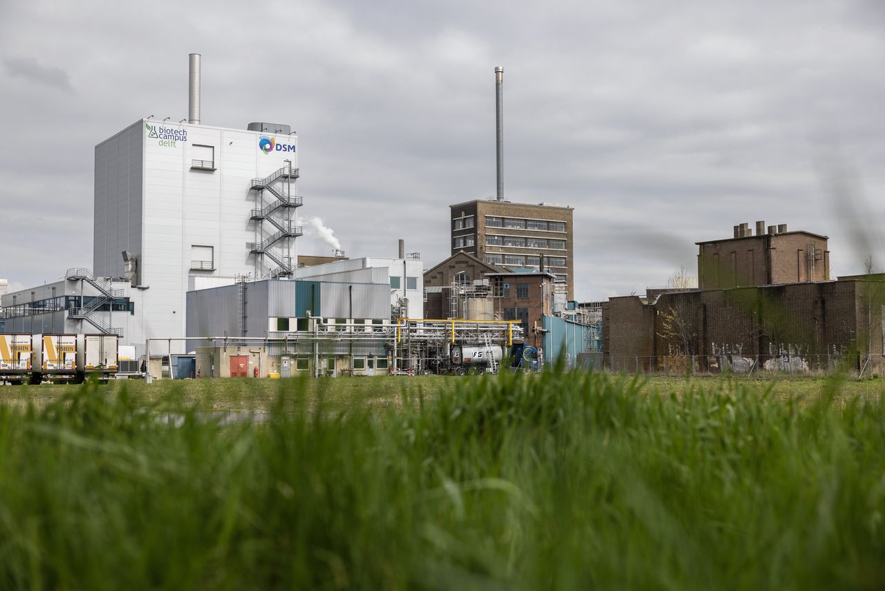 DSM en het innovatielab Biotech Campus dat op het terrein van het bedrijf in Delft is gevestigd.