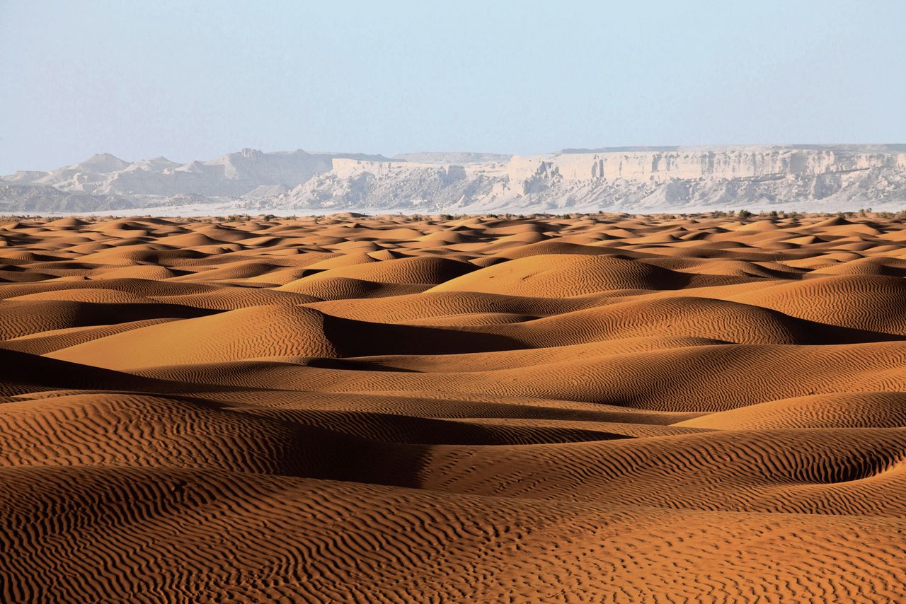 De onderzoekers vermoeden dat een deel van de Euraziatische voorouders waarschijnlijk een tijdlang heeft ‘vastgezeten’ op het Arabisch schiereiland.