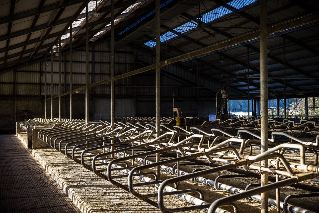 Lege stallen van rundveehouders in Weert die zich lieten uitkopen. De opkoopregeling kan oplopen tot 120 procent van de marktwaarde van de agrarische onderneming.