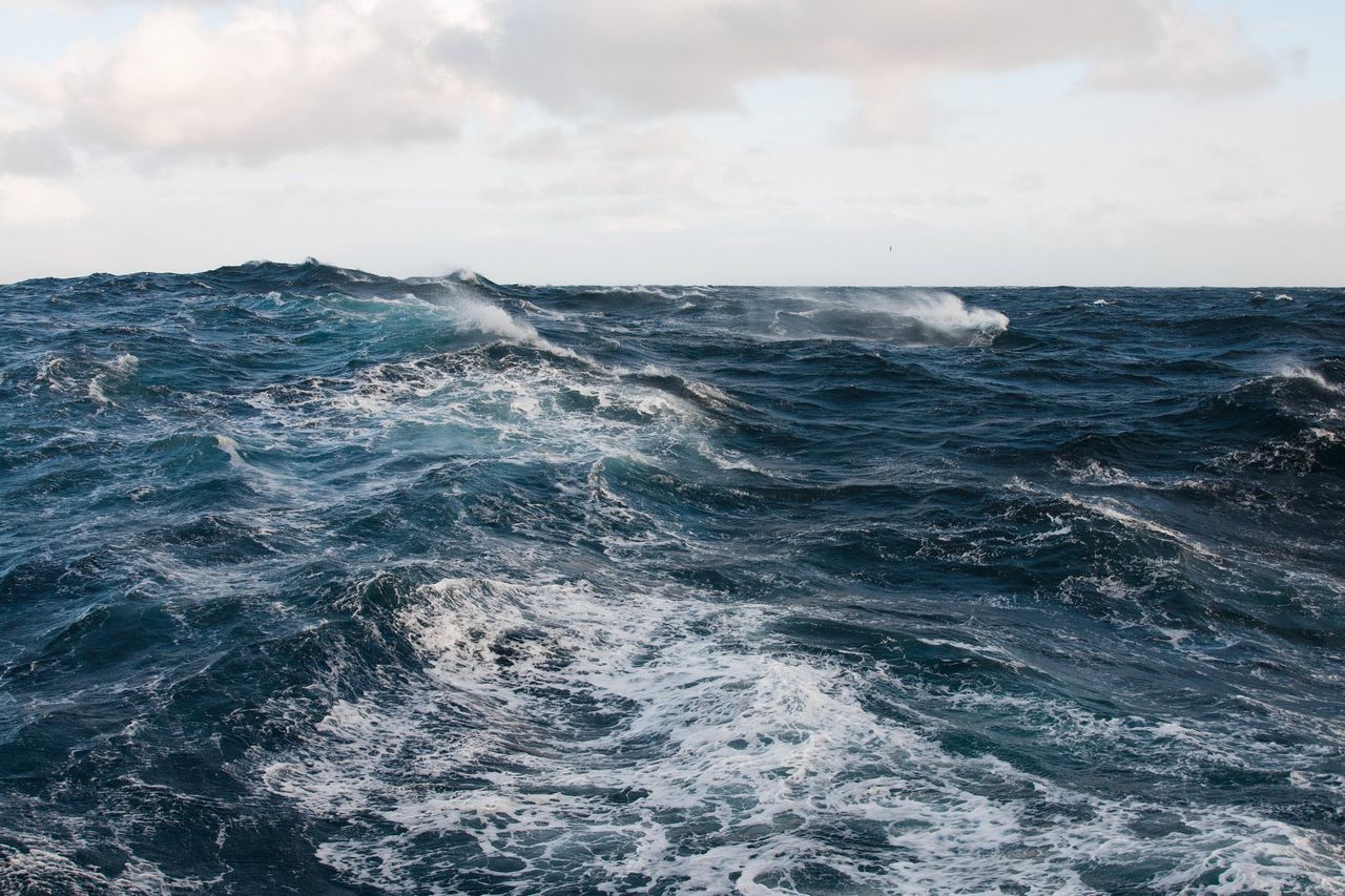 De gemiddelde zeewatertemperatuur in alle oceanen, met uitzondering van de poolgebieden, ligt 0,2 graden Celsius hoger dan vorig jaar.