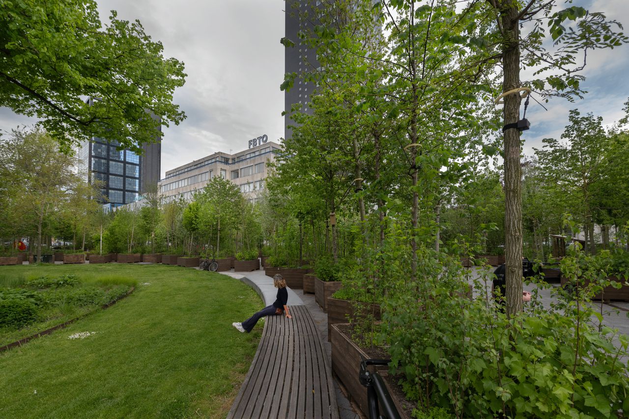 Bosk, ook wel ‘het wandelende bos’, in de binnenstad van Leeuwarden, een natuurproject in 2022.