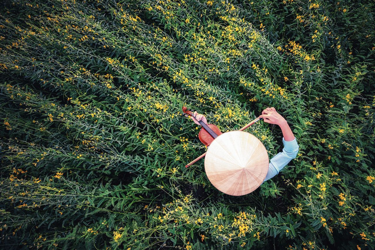 Een Vietnamese vrouw speelt viool in een bloemenveld.