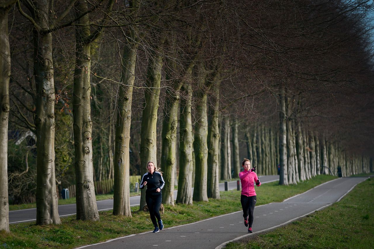 Hardlopen in Haarlem